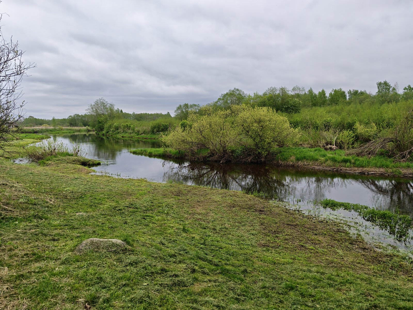 Берег реки Синей