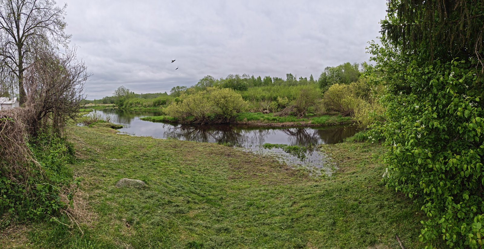 Панорама реки